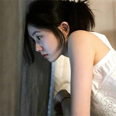 追鹰日记